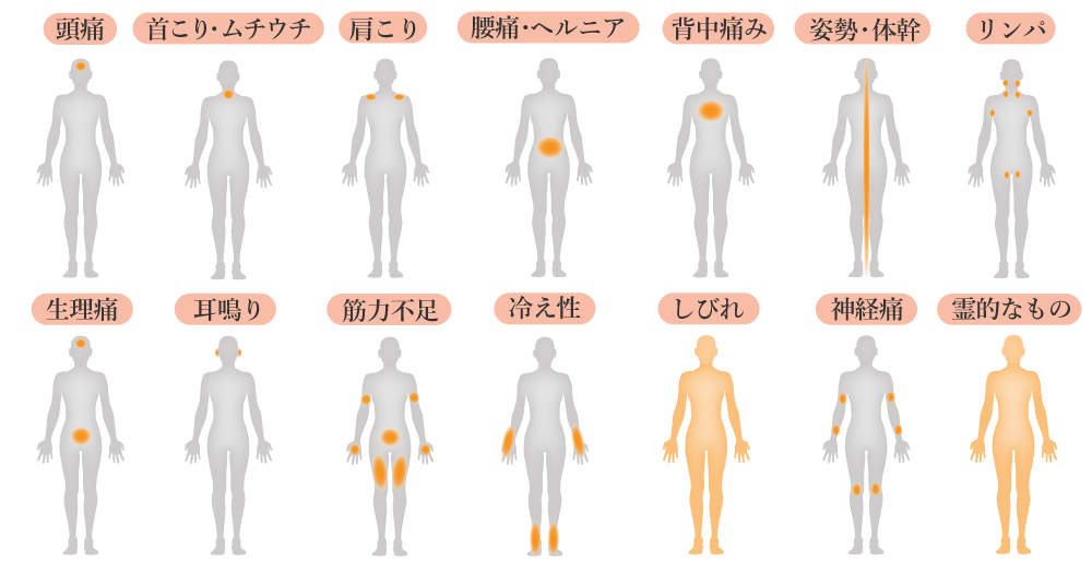 頭痛、首こり・ムチウチ 肩こり、腰痛・ヘルニア、背中痛み、姿勢・体幹、リンパ、生理痛、耳鳴り、筋力不足、冷え性、しびれ、神経痛、霊的なもの、得意な分野のイメージ